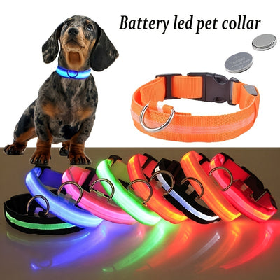 🐕 Collier lumineux LED pour chien – Sécurité nocturne