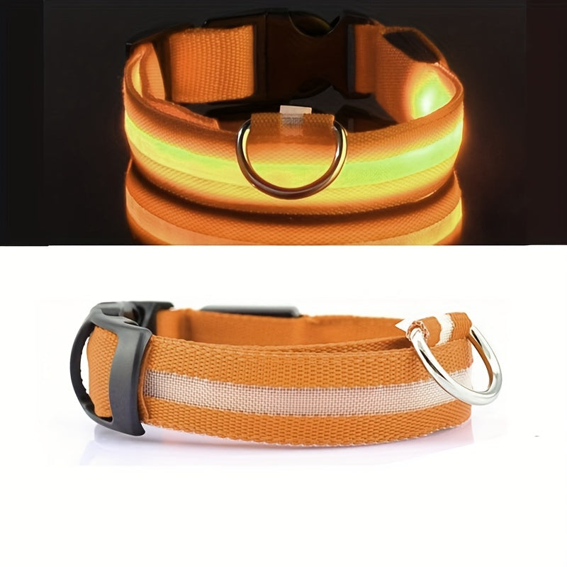 🐕 Collier lumineux LED pour chien – Sécurité nocturne